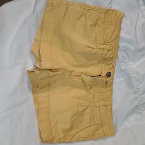 American Rag Shorts
